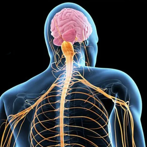 Amyotrophic-lateral-sclerosis-new11 Amyotrophic-lateral-sclerosis-new11